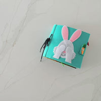 Brainy Bunny Book