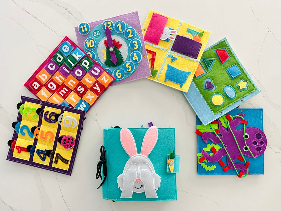 The Brainy Bunny Busy Book - Preschooler Book - Wondertivity