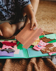 Three Little Pigs Set