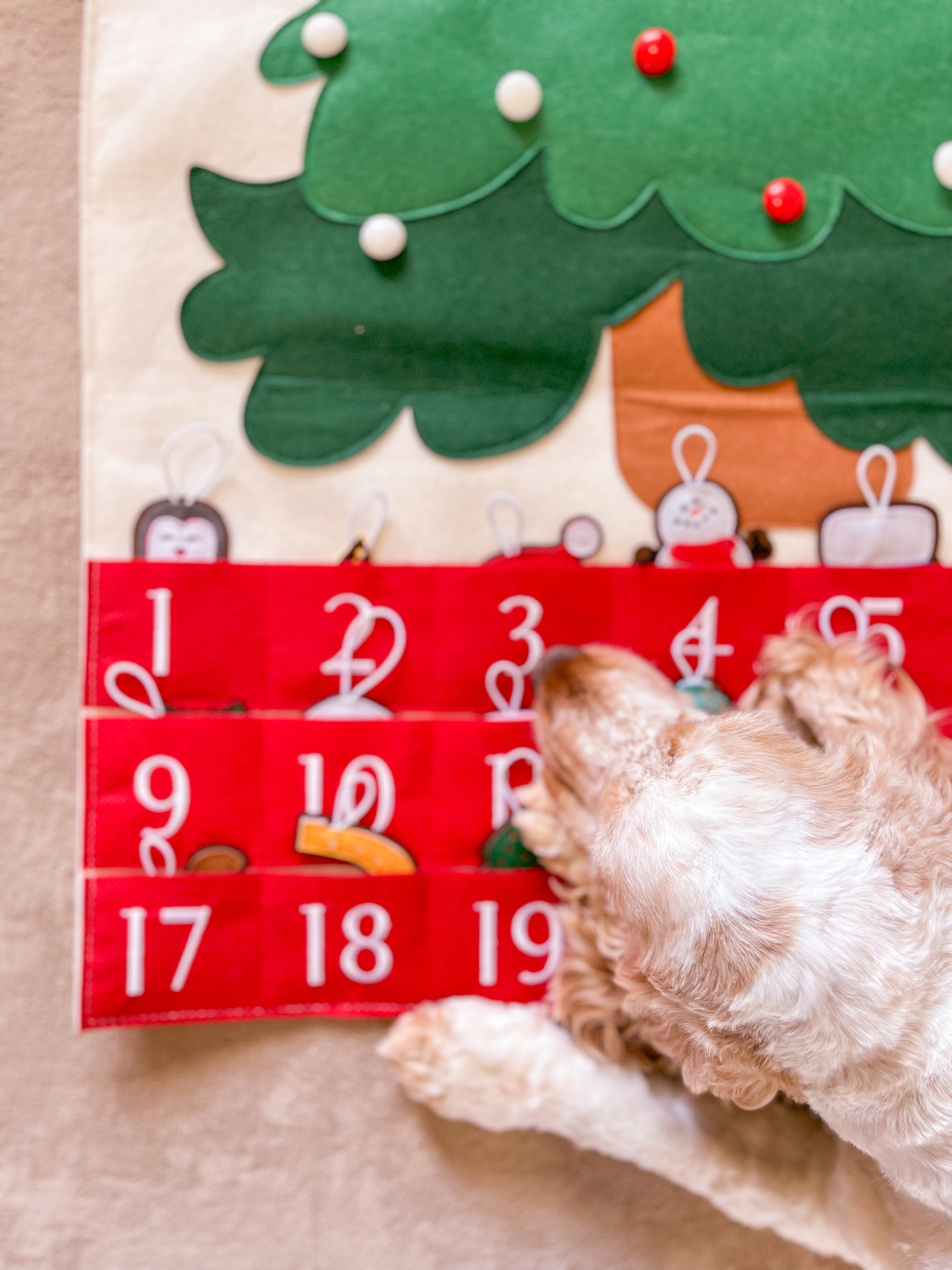 Advent Christmas Calendar