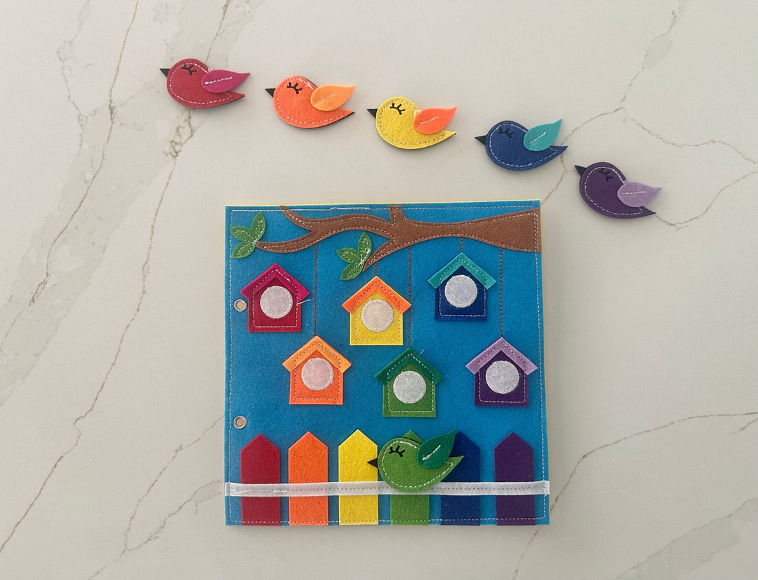 Fill Em Up & Bird Sorting - Wondertivity
