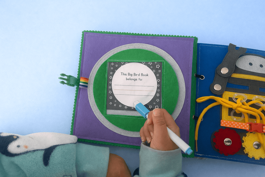 NEW Big Bird - School Readiness Book - Wondertivity