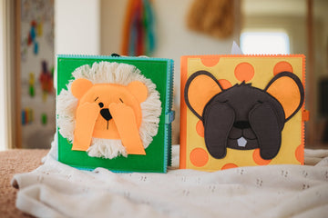 *** Pre - Order - End of April Delivery *** Baby & Toddler Bundle - Screen - Free Fun for 0 - 36 months - Wondertivity