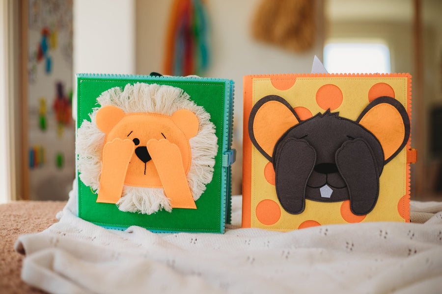 *** Pre - Order - End of April Delivery *** Baby & Toddler Bundle - Screen - Free Fun for 0 - 36 months - Wondertivity