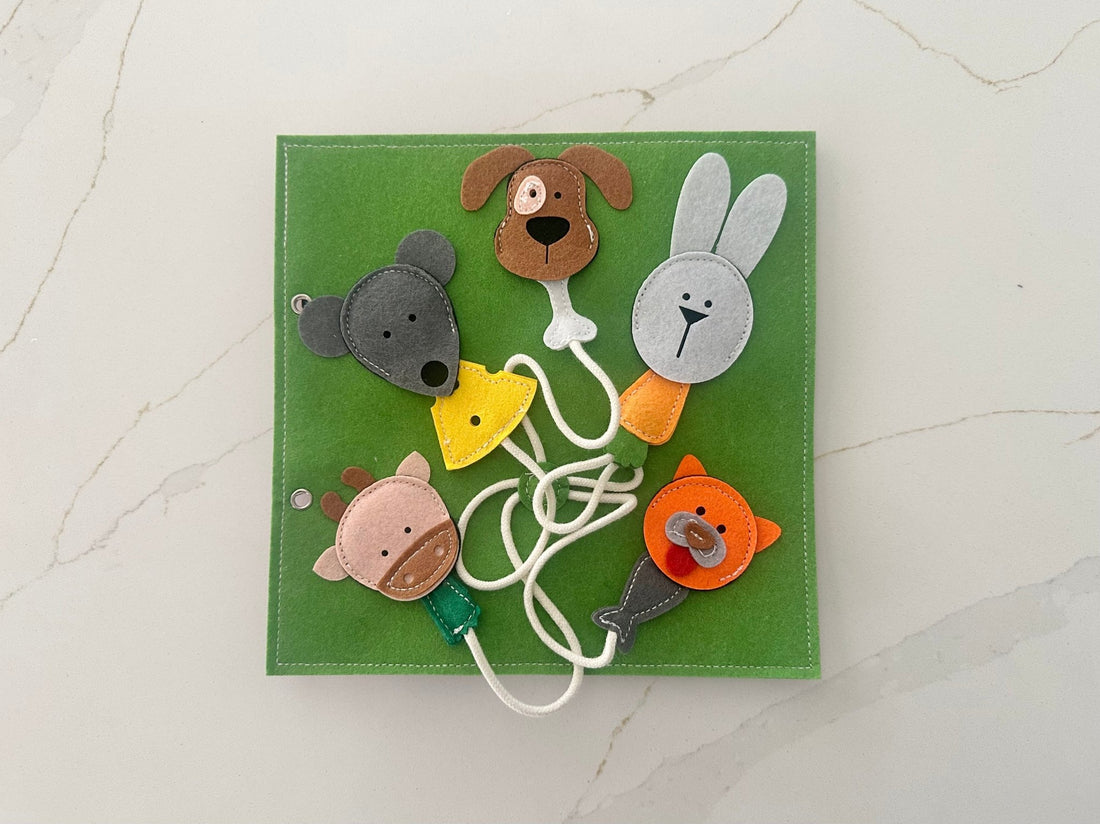 What do Animals Eat & Finger Family - Wondertivity