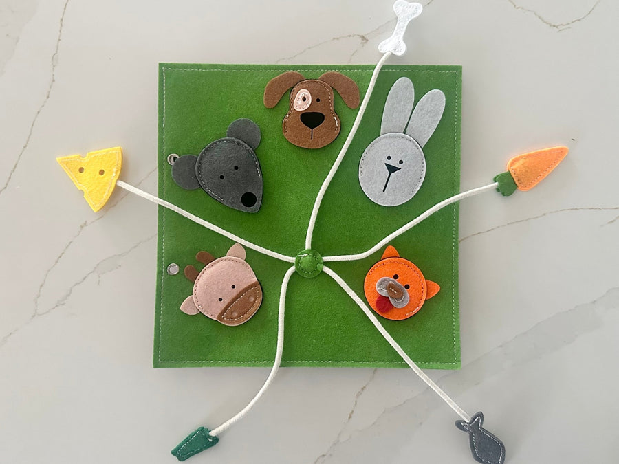 What do Animals Eat & Finger Family - Wondertivity