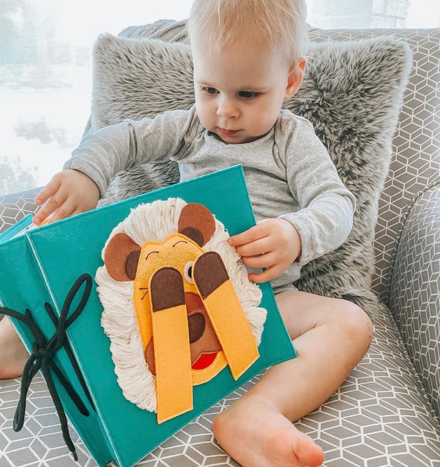 Baby and Toddler Books